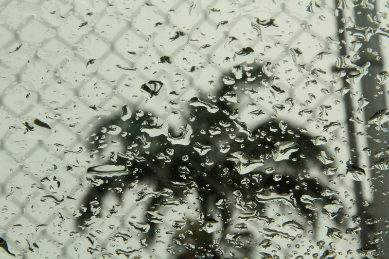 Illustration for article titled Shooting Challenge: Bokeh, Gallery 1